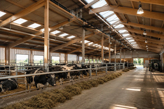 ventilation en bâtiment agricole