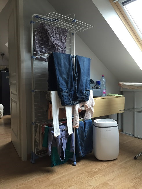 Dehumidifier 12 L/day ZEPHYR 12