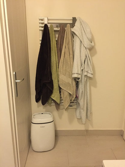 Dehumidifier 12 L/day ZEPHYR 12